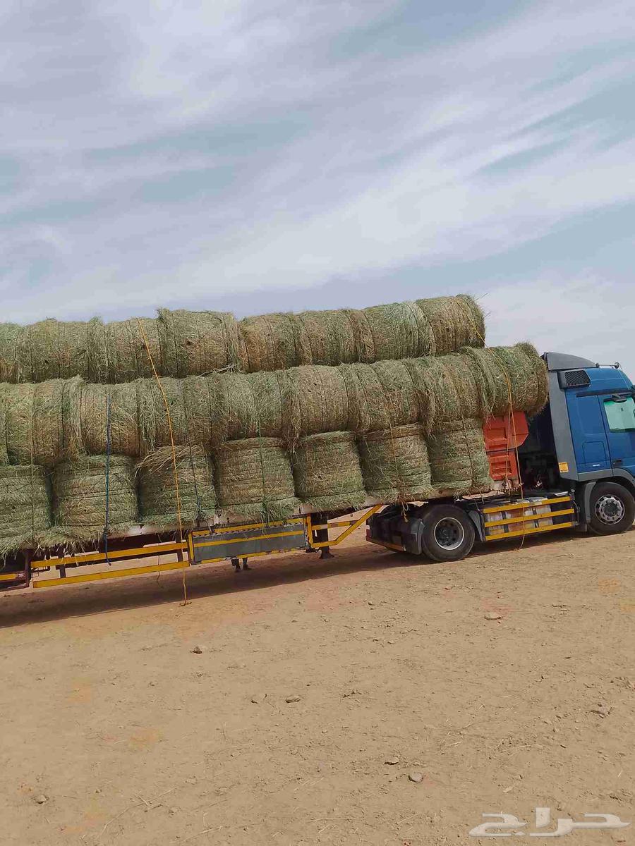 السلام عليكم ورحمه الله لفات رودس جديد المذنب64528593906817111