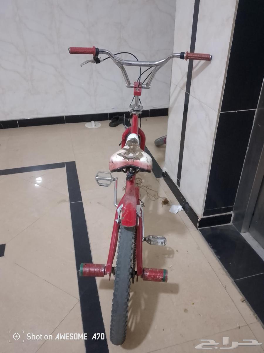 سيكل كوبرا نضيف على الشرط مقاس 20 جنوط كروم السعر على السوم64534957242627110