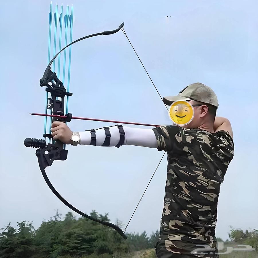 Hunting Bow and Arrow64533075959427112