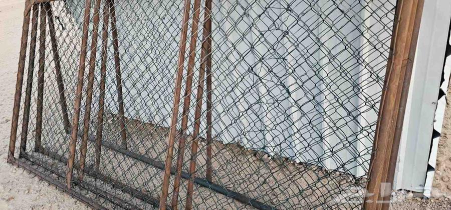 4 Shabak 3 264531477186817111