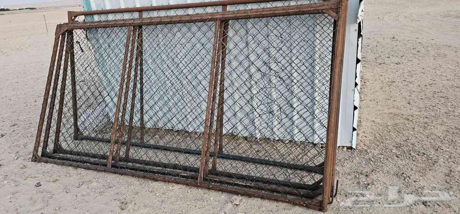 4 Shabak 3 264531477186817110