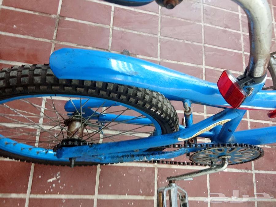 كوبرا مقاس 20 السعر 300 يجي معه مسكت نجوم و قفول64532170344451112