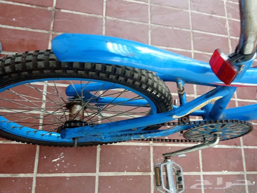 كوبرا مقاس 20 السعر 300 يجي معه مسكت نجوم و قفول64532170344451113