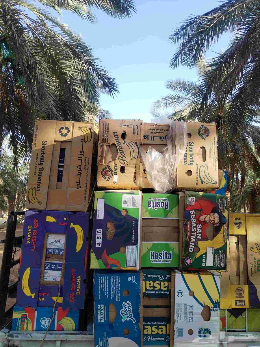 كراتين موز جديدة للبيع64529562445187111