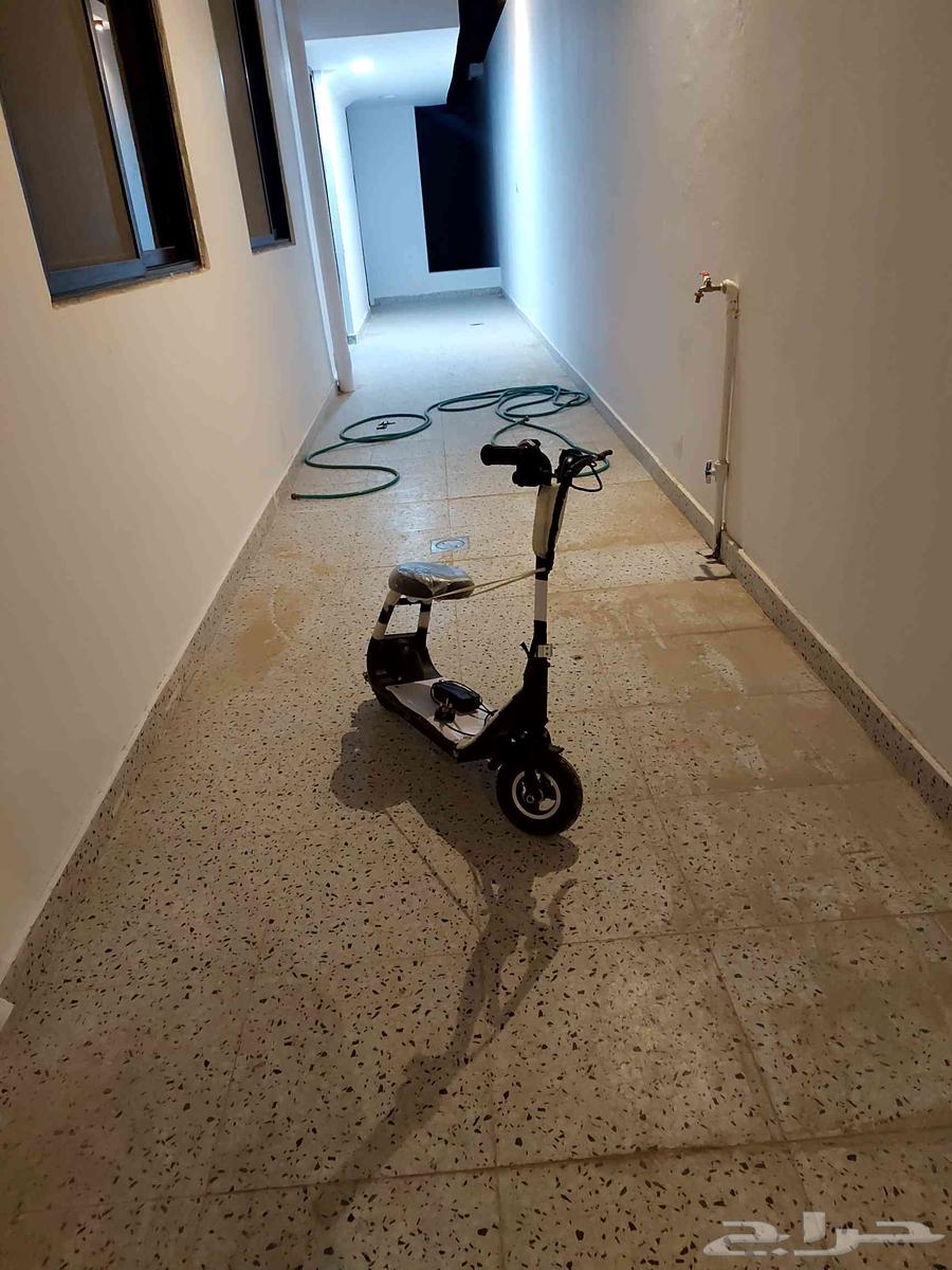 Mini scooter with basket64534293832707110