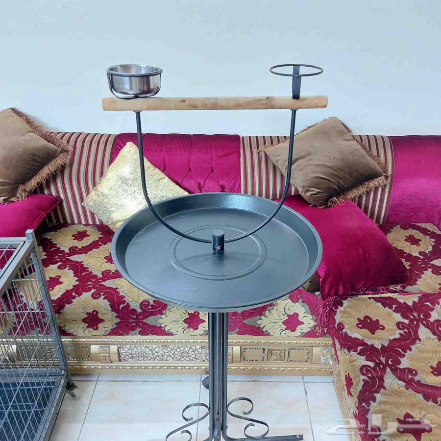 استاند ببغاء64527488578051111