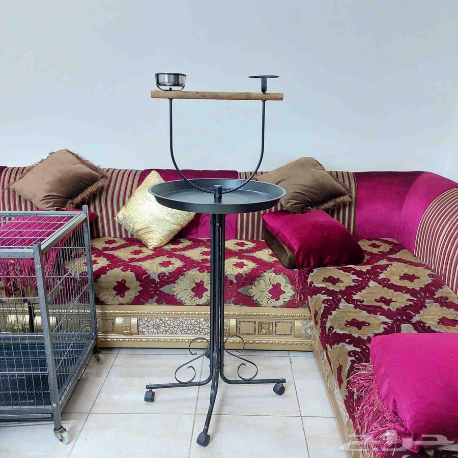 استاند ببغاء64527488578051113