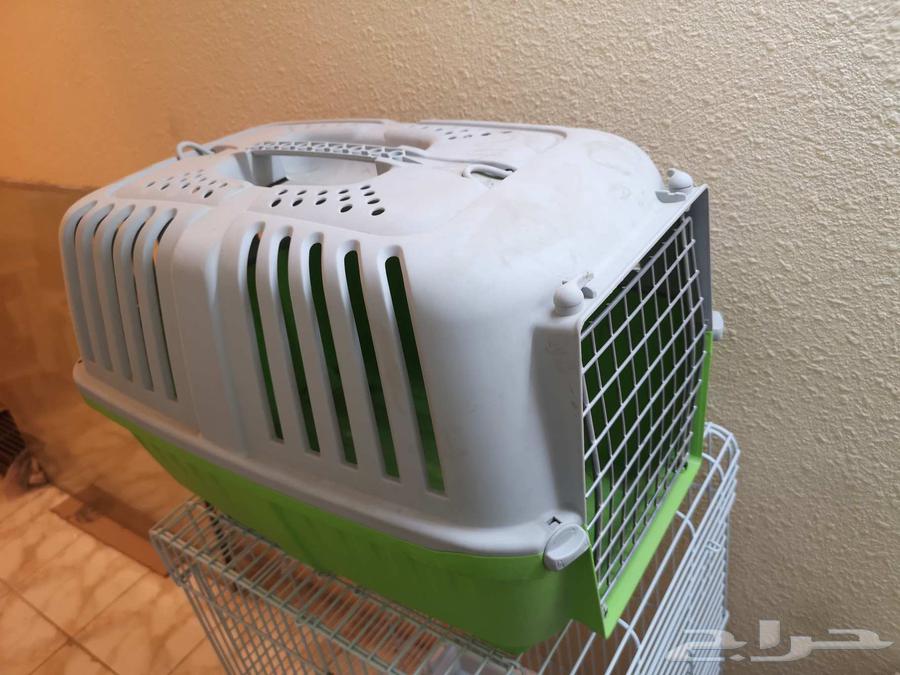 أغراض قطط شبه جديدة64528964616705113