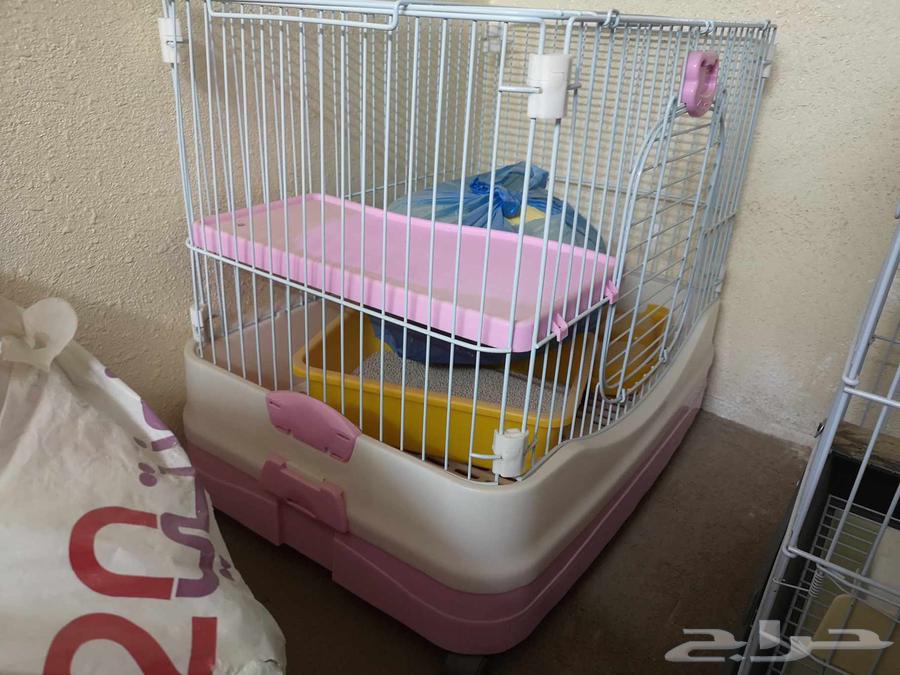 أغراض قطط شبه جديدة64528964616705111