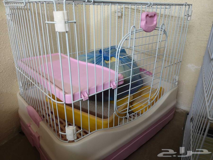 أغراض قطط شبه جديدة64528964616705110