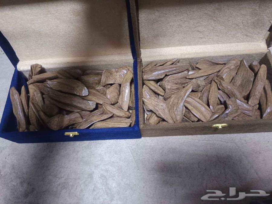 عود مروكي رقم واحد اصلي علبتين كيلو واحد السعر64533832291713111