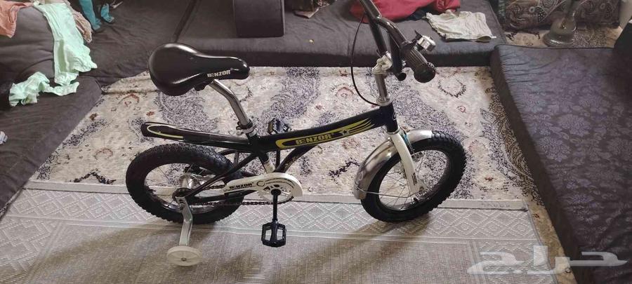 Cobra Cycle64533930355971112