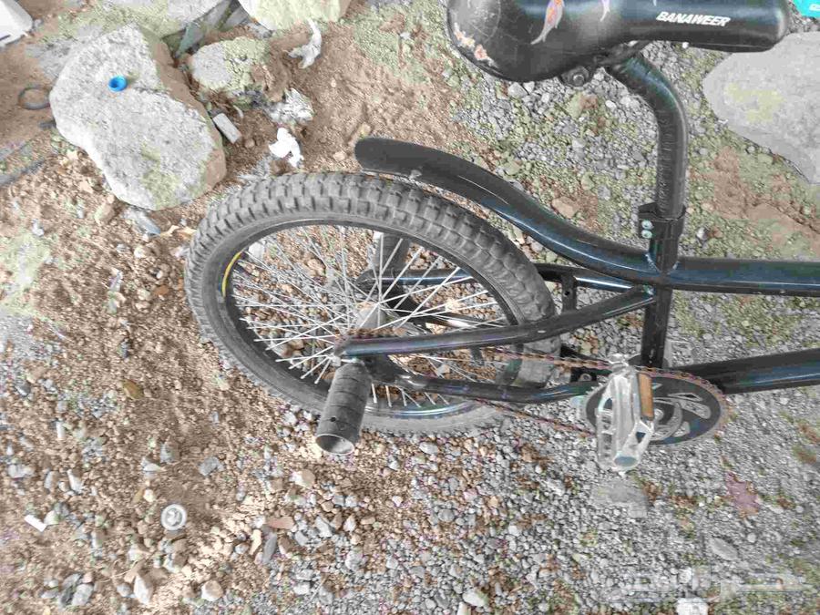 دراجه كوبرا64531182233729112