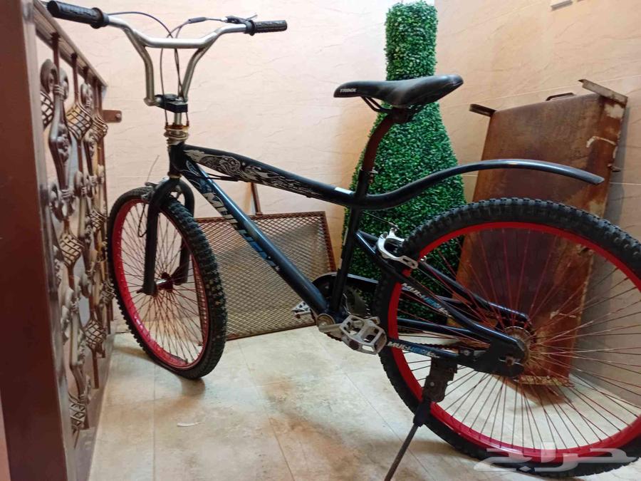 دراجة هوائية مقاس 2664533691430658111