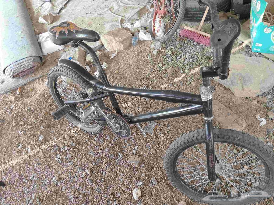 دراجه كوبرا64531182233729114