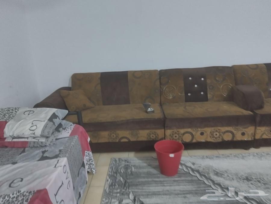 مجلس صالون بحالة جيدة مع الستارة64534803194625111