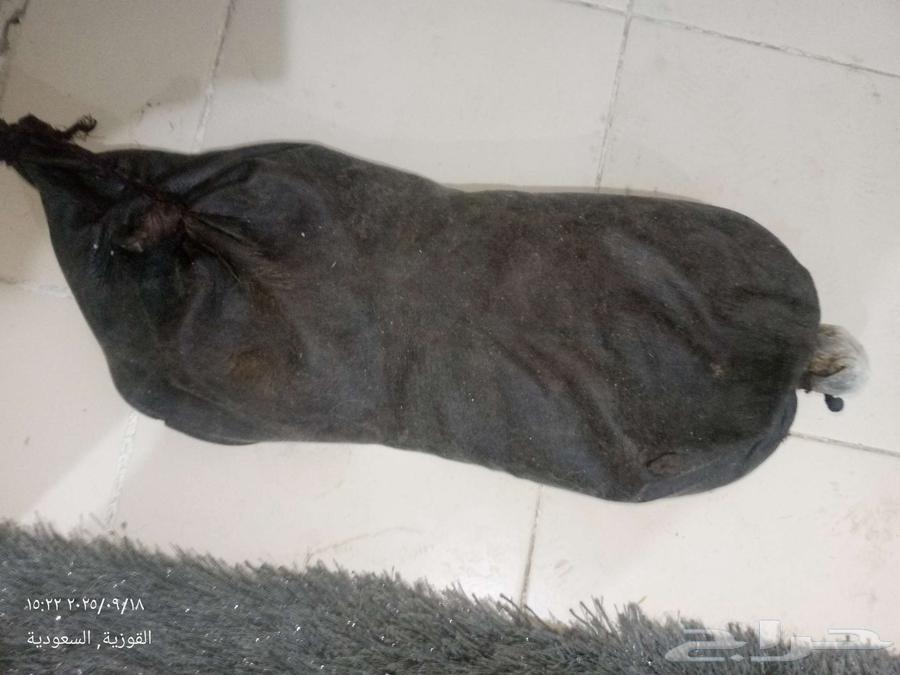 I'm showing you two boxes of ghee, one cow and one sheep64531096353793113