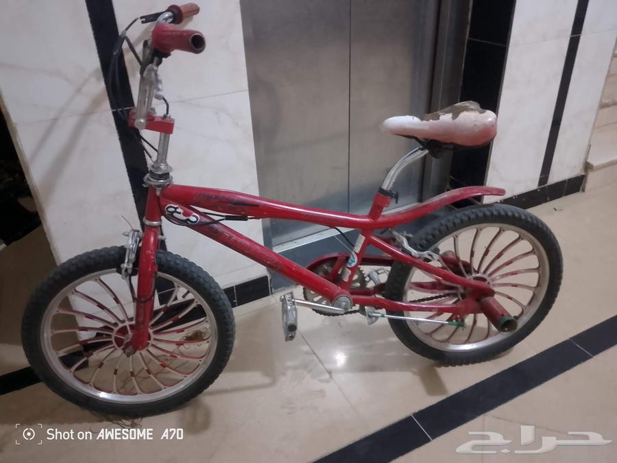 سيكل كوبرا نضيف على الشرط مقاس 20 جنوط كروم السعر على السوم64534957242627111