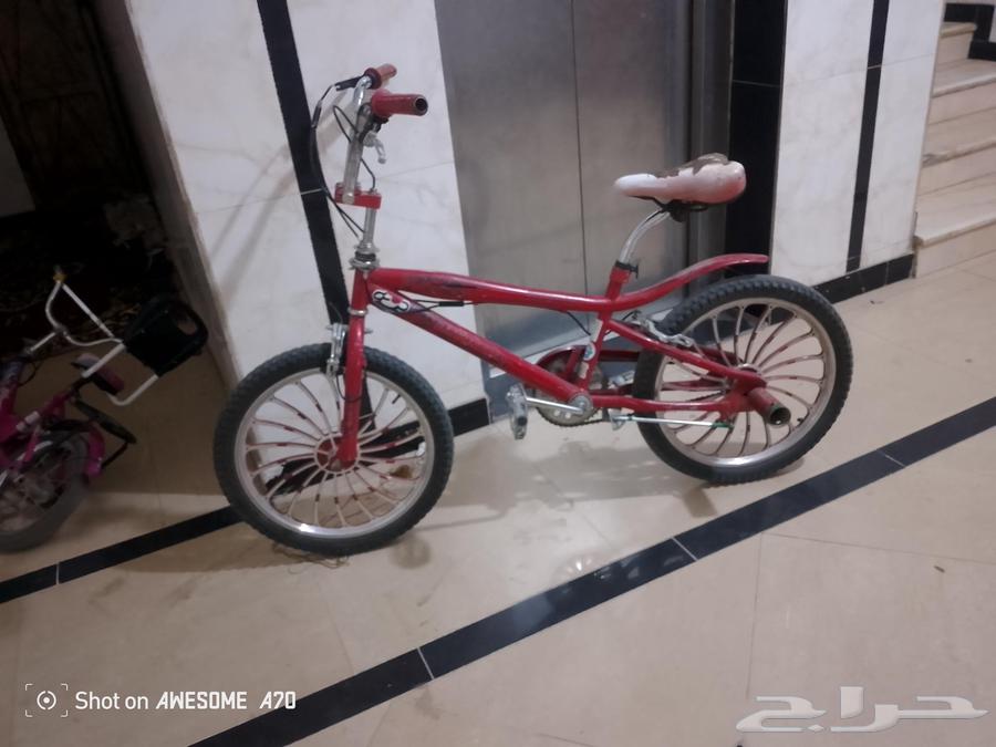 سيكل كوبرا نضيف على الشرط مقاس 20 جنوط كروم السعر على السوم64534957242627112