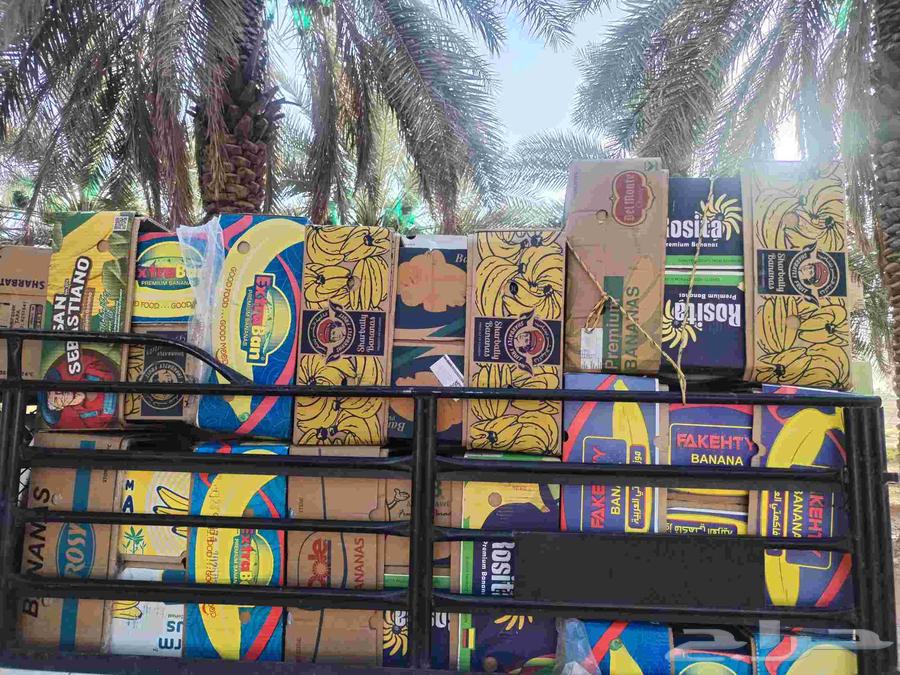 كراتين موز جديدة للبيع64529562445187110