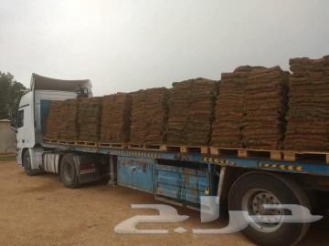 ثيل طبيعي عشب طبيعي64530219620097113