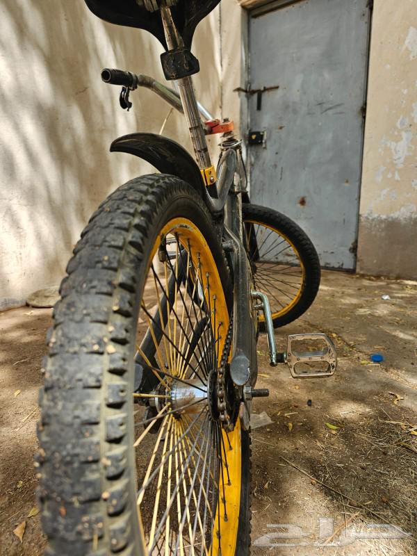 Cobra bicycle size 2064530177191041114