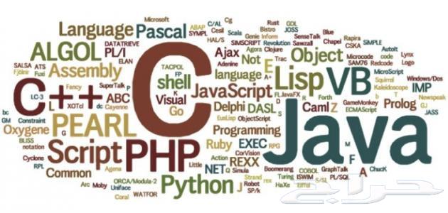 Programming lessons for university students64534310327041110