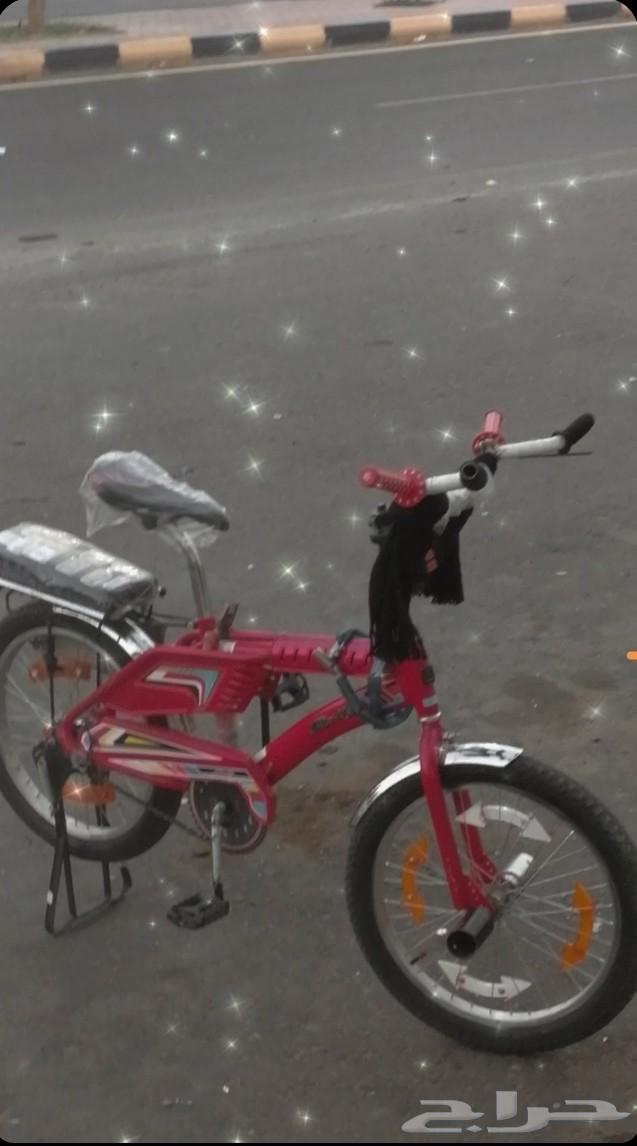 رامبو مقاس 20 اسود مع جنوطه رامبو مقاس 20 احمر مع البوري64454646658563113