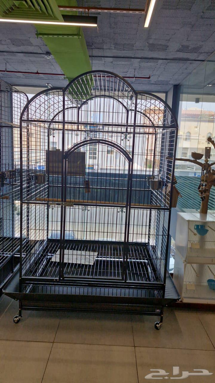 اقفاص ببغاء مكاو قالا بلوفرنتد سلفر كاسكو دبل هد64529655439490113