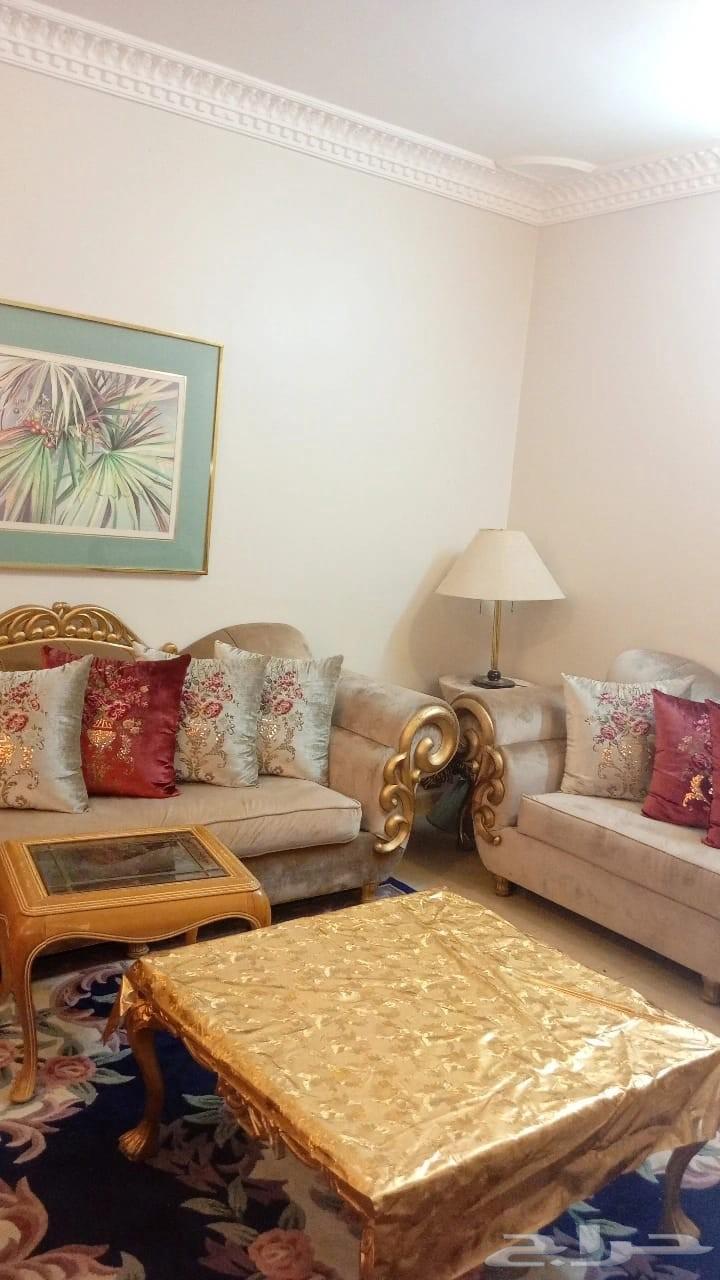 Clean sofa for urgent sale, no defects, 700 SAR64529620334082112