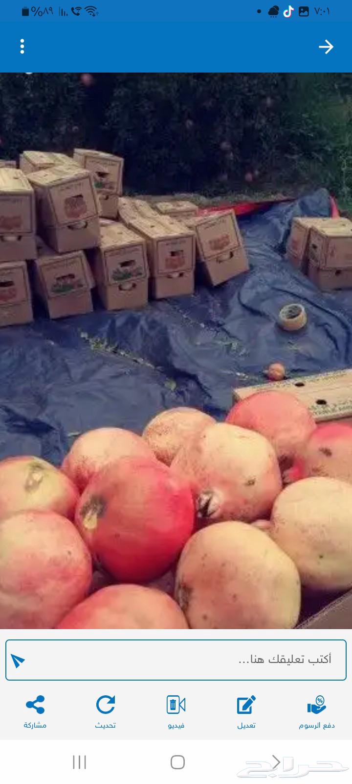 Pomegranate from our own farms64533118975491114