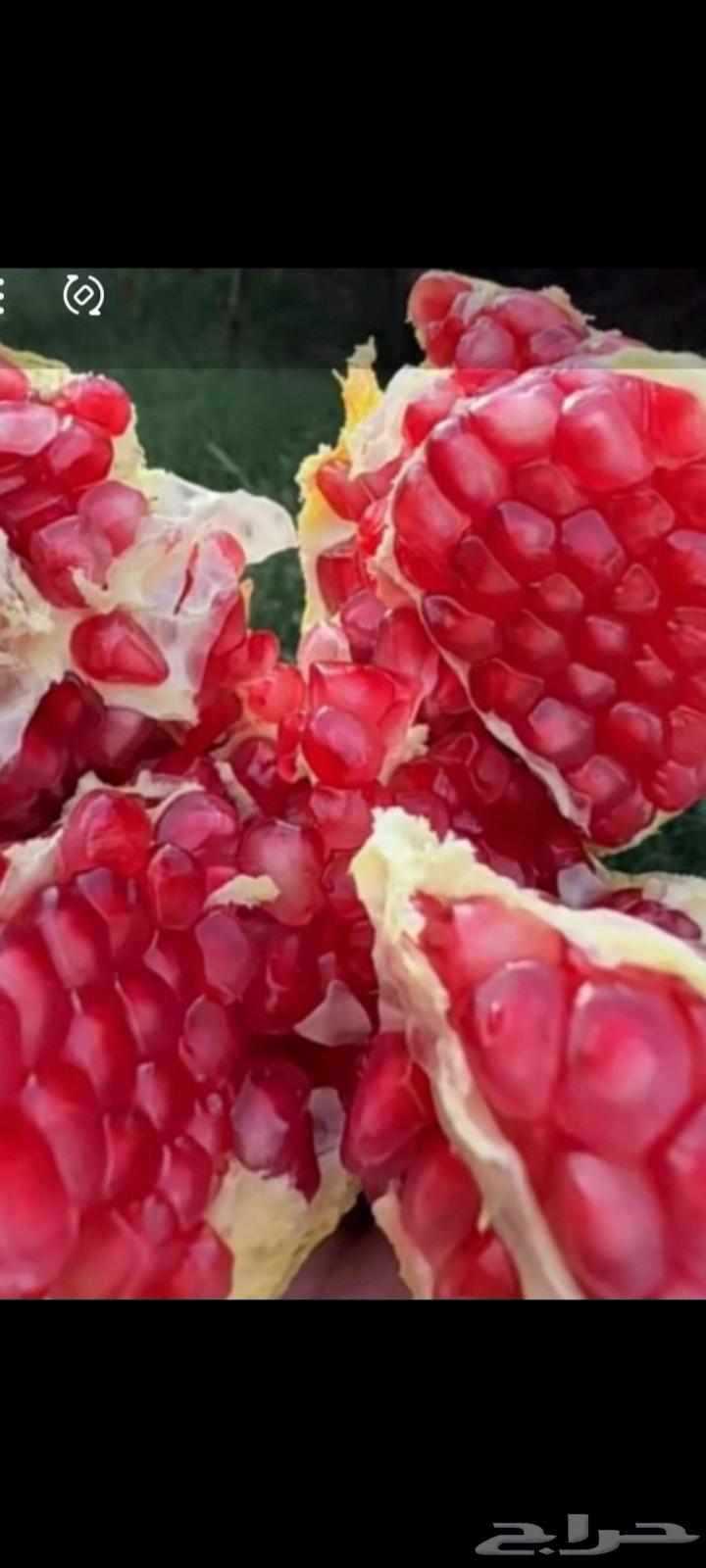 Pomegranate from our own farms64533118975491111