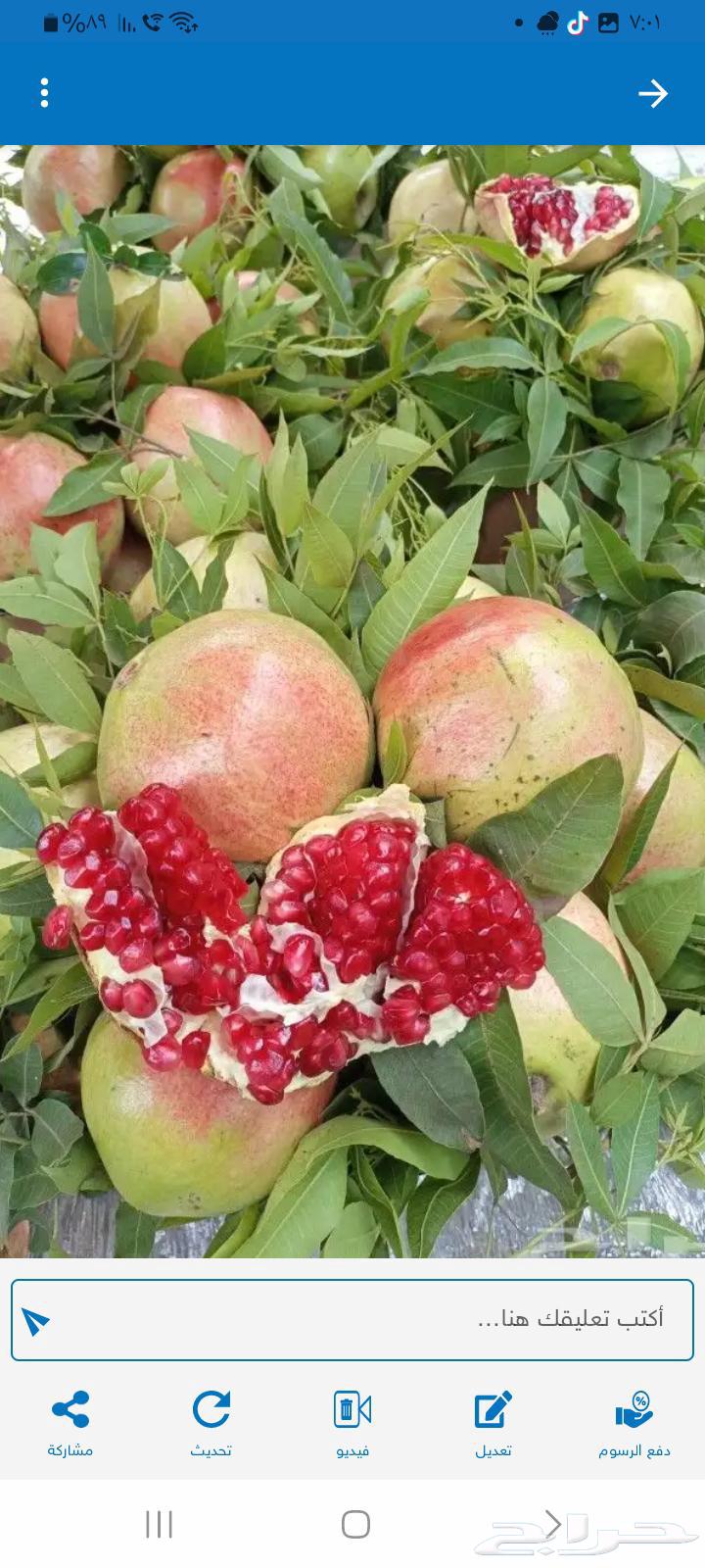 Pomegranate from our own farms64533118975491112
