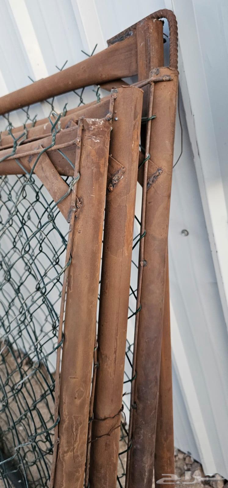 4 Shabak 3 264531477186817112