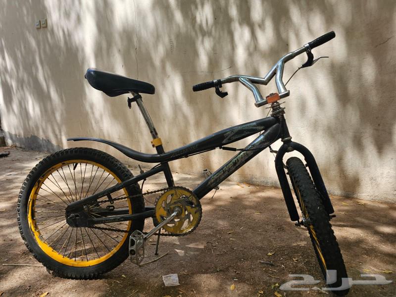 Cobra bicycle size 2064530177191041111