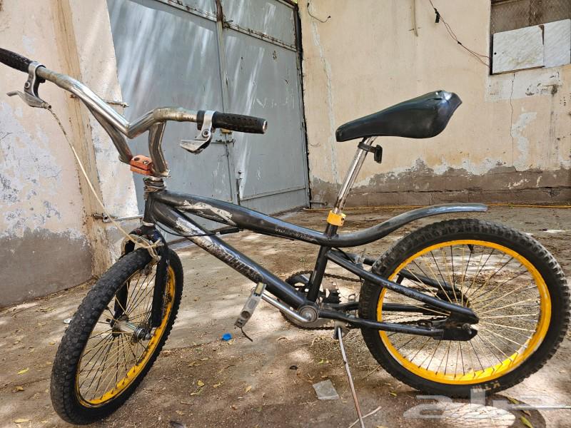 Cobra bicycle size 2064530177191041113