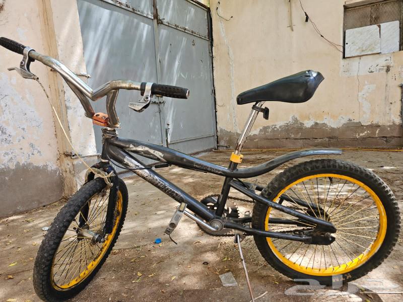 Cobra bicycle size 2064530177191041110