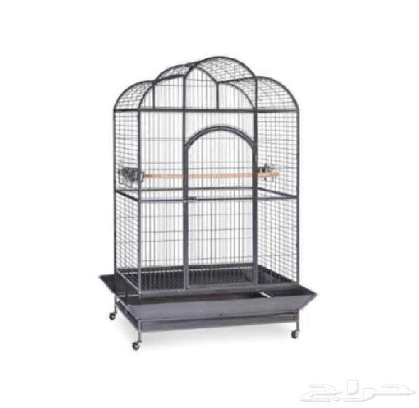 اقفاص ببغاء مكاو قالا بلوفرنتد سلفر كاسكو دبل هد64529655439490111