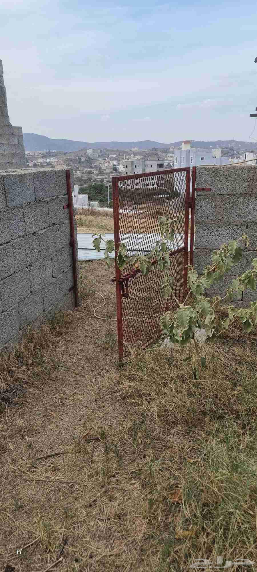 أبواب شبك مقاسات متفاوته64530600014595111