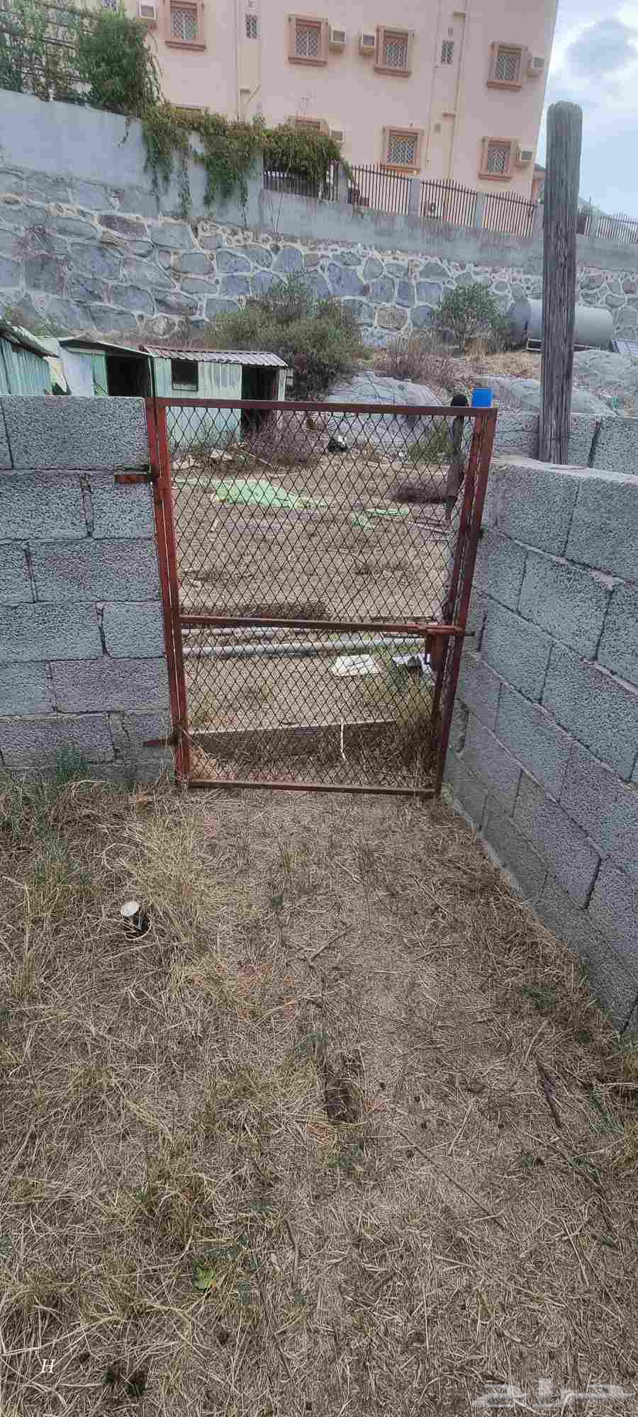 أبواب شبك مقاسات متفاوته64530600014595112