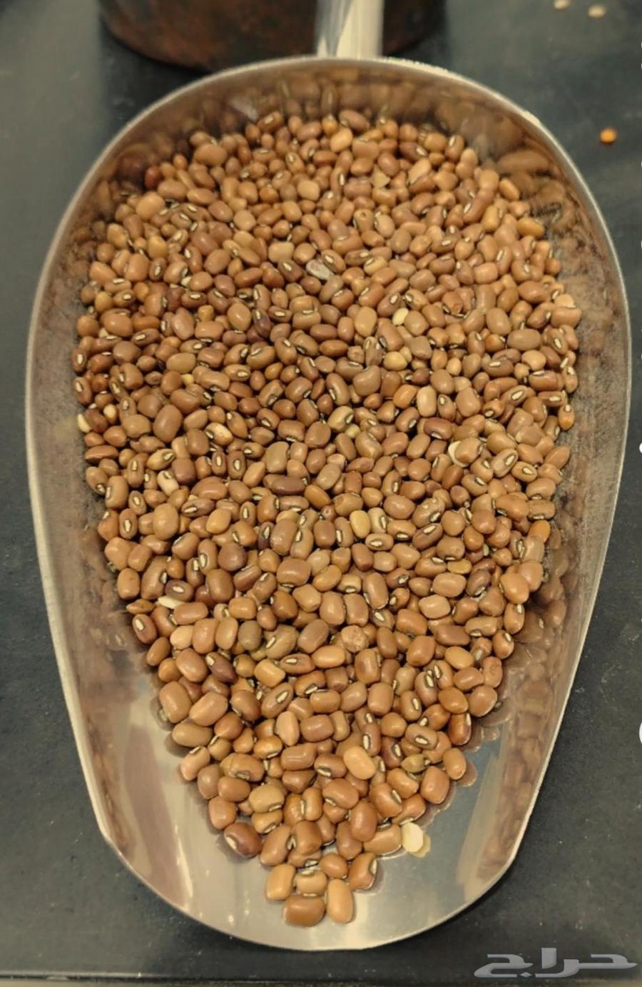 يتوفر لدينا دجره يمني (لوبيا) درجه اولى64527656040579110