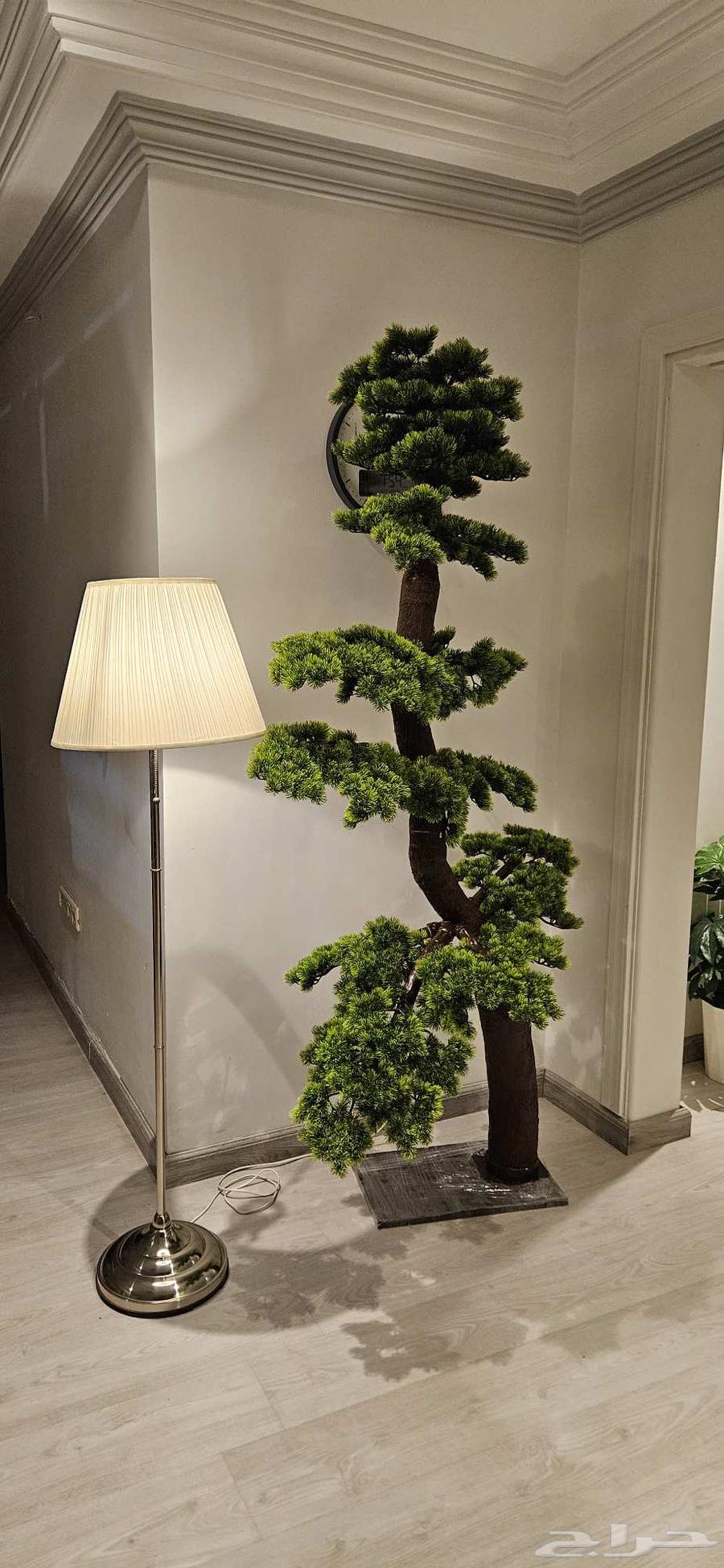 2-meter high-quality artificial bonsai tree, special price for bulk orders64511199256449114