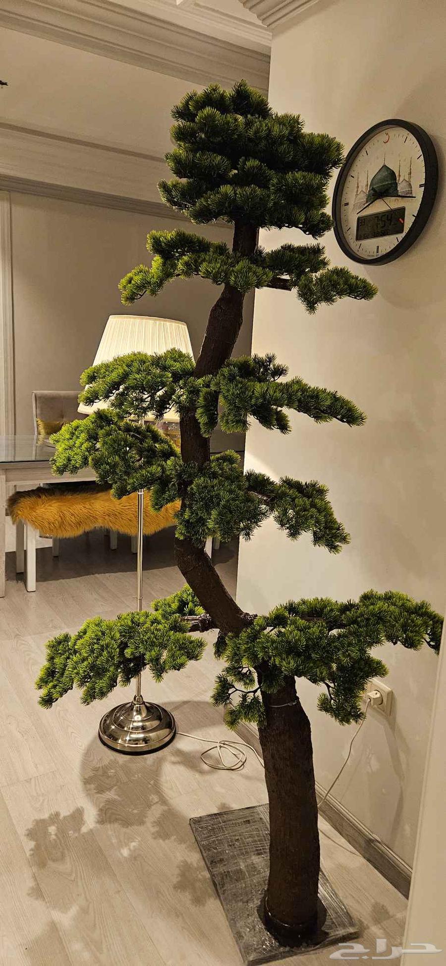 2-meter high-quality artificial bonsai tree, special price for bulk orders64511199256449113