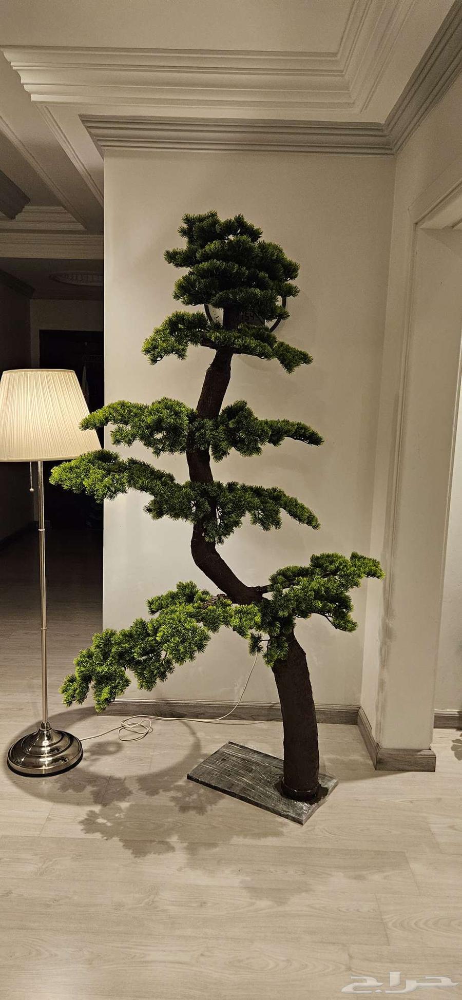 2-meter high-quality artificial bonsai tree, special price for bulk orders64511199256449111
