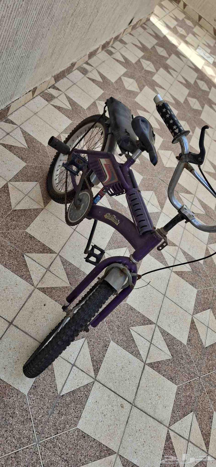 Ramboull Cycle64534440844931110