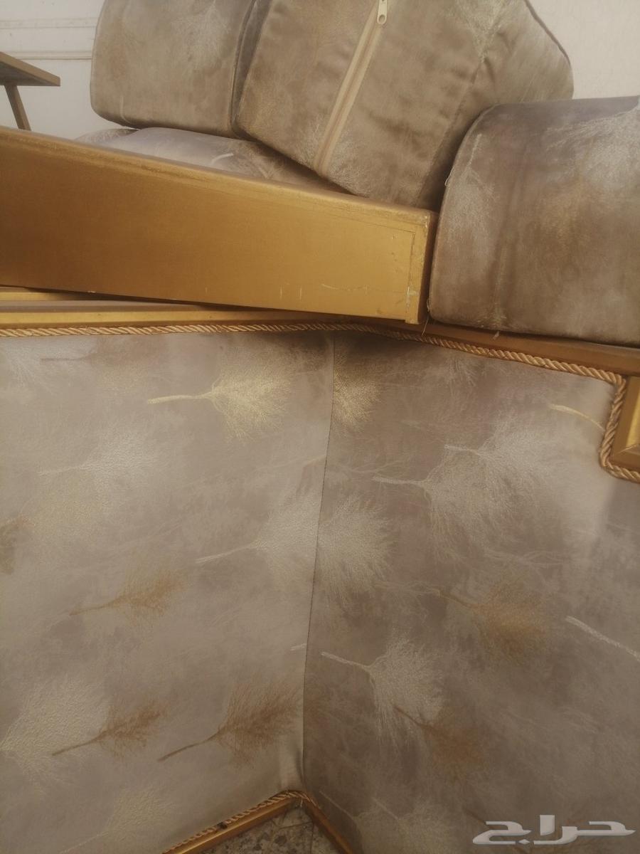 Backrests64531364954369112