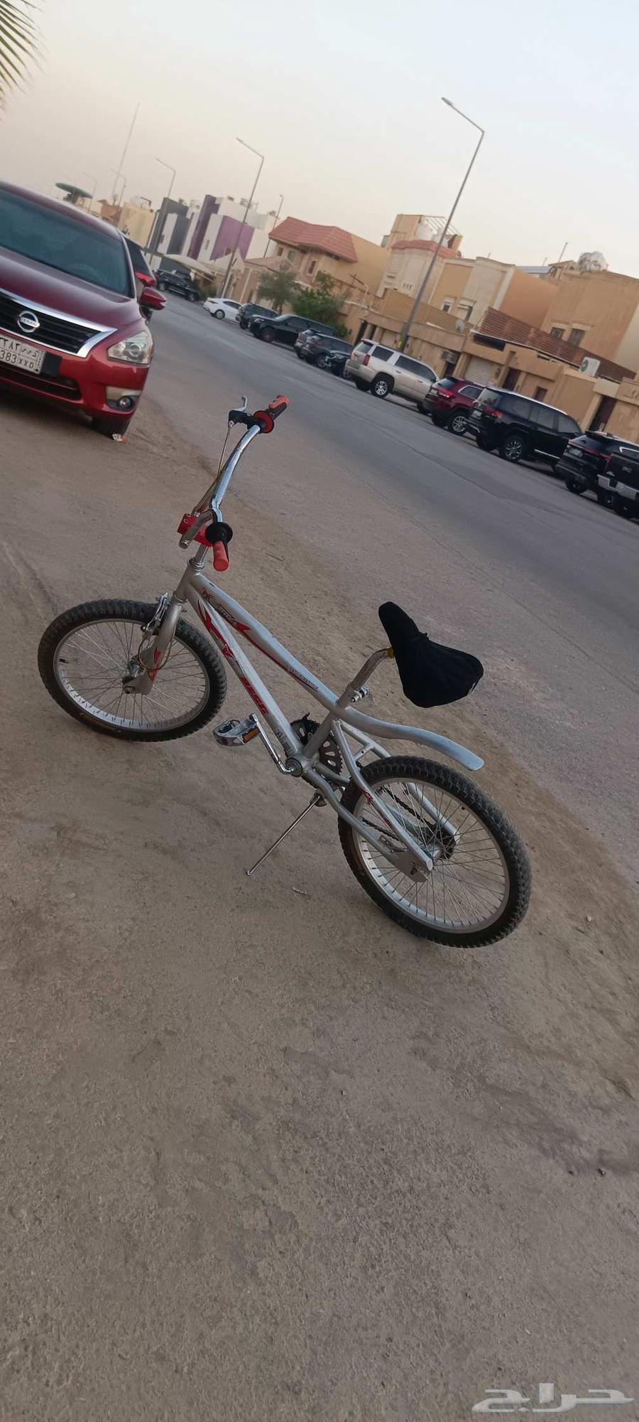 سكل كوبرا جديد64541622819586113