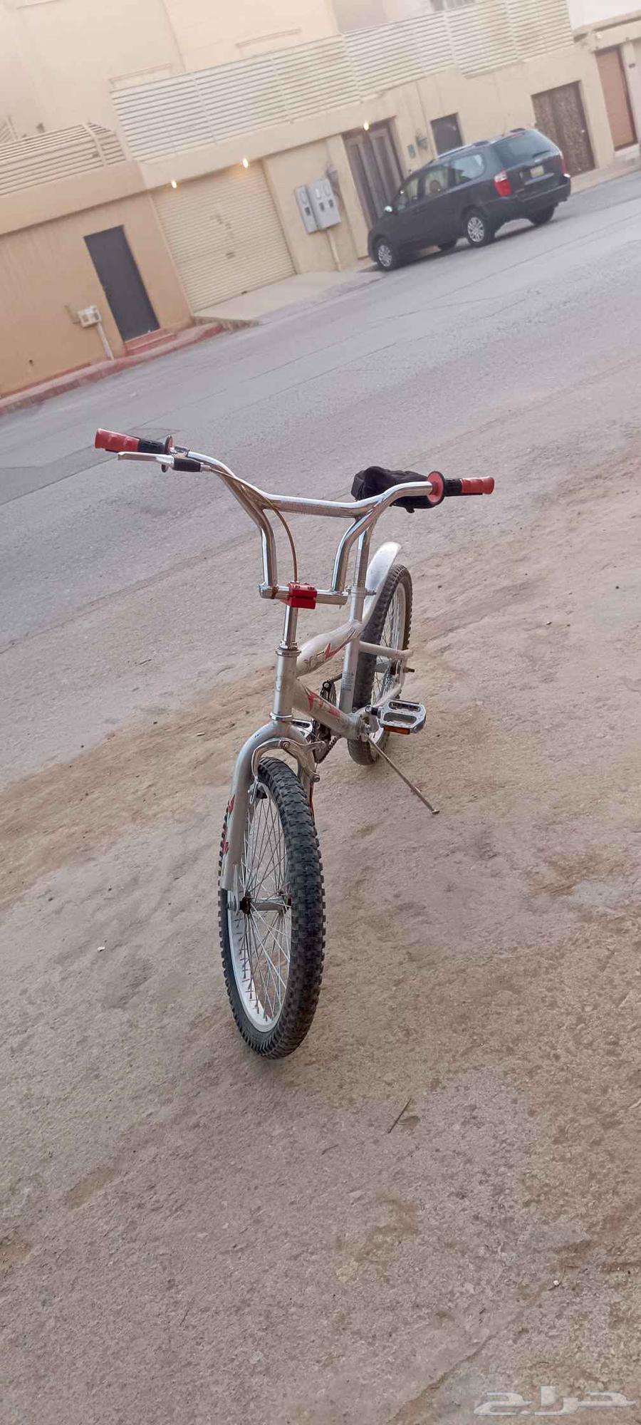 سكل كوبرا جديد64541622819586110