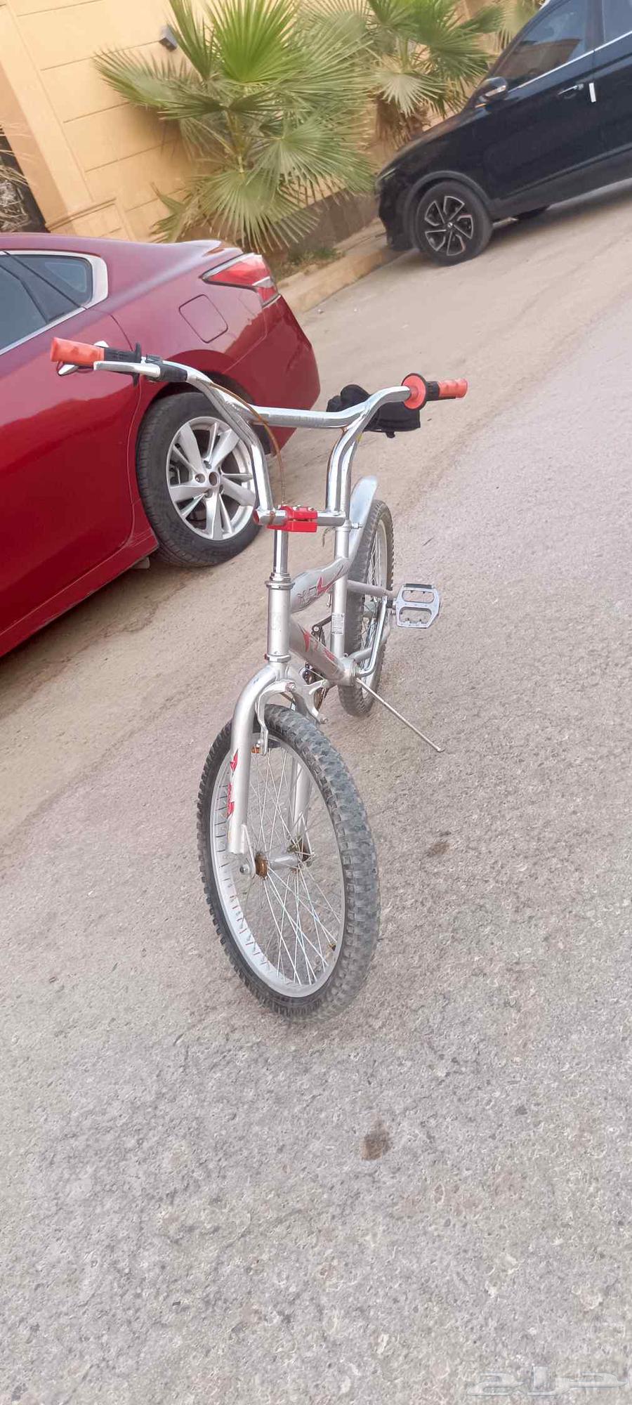 سكل كوبرا جديد64541622819586114