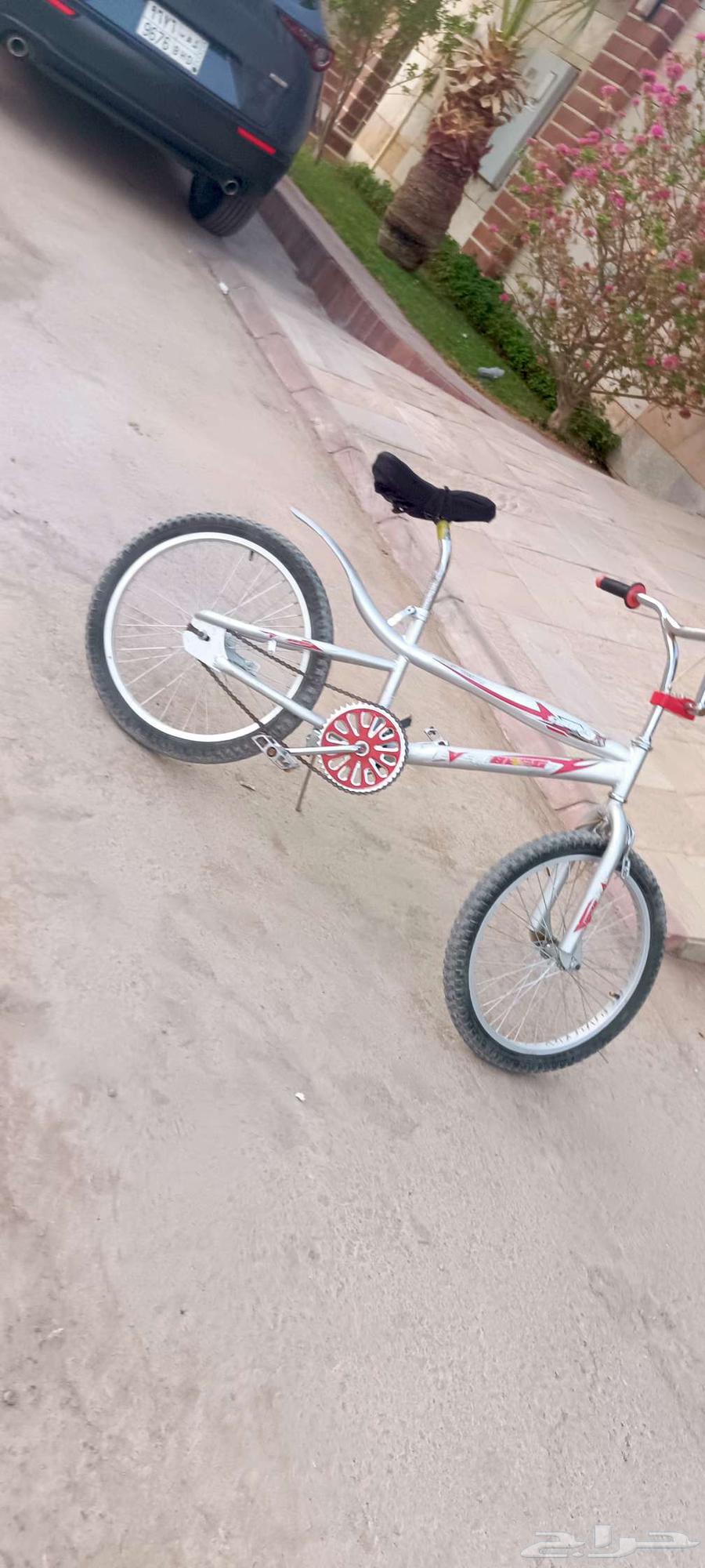 سكل كوبرا جديد64541622819586112